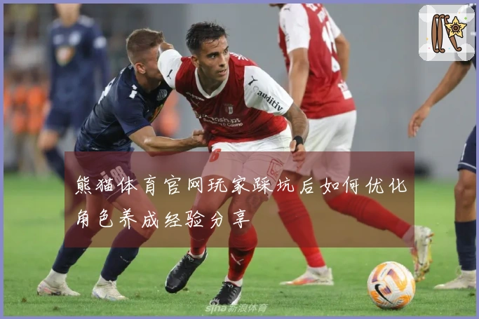 熊猫体育官网玩家踩坑后如何优化角色养成经验分享